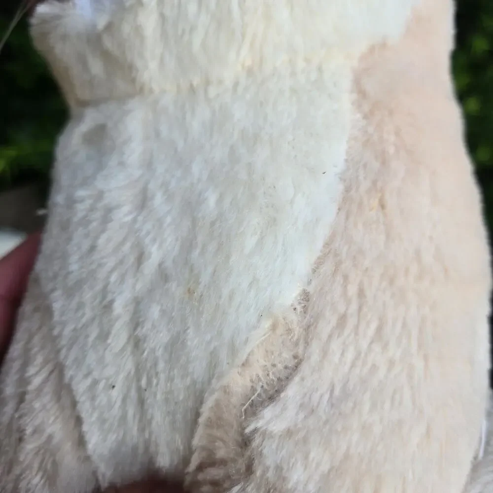 Grumpy Cat stuffed animals by Ganz and Ripple‎ Junction lot of two. Read